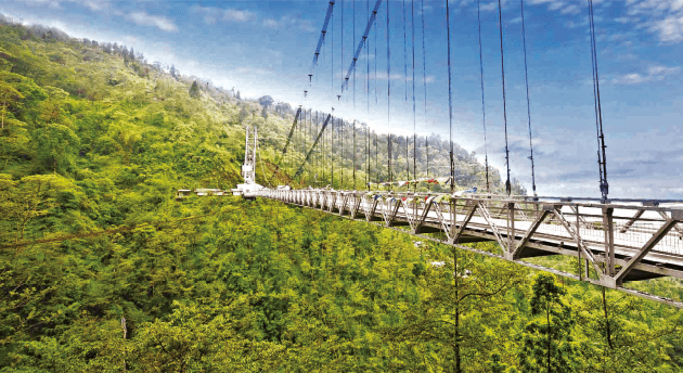 Top view of bridge with greenery